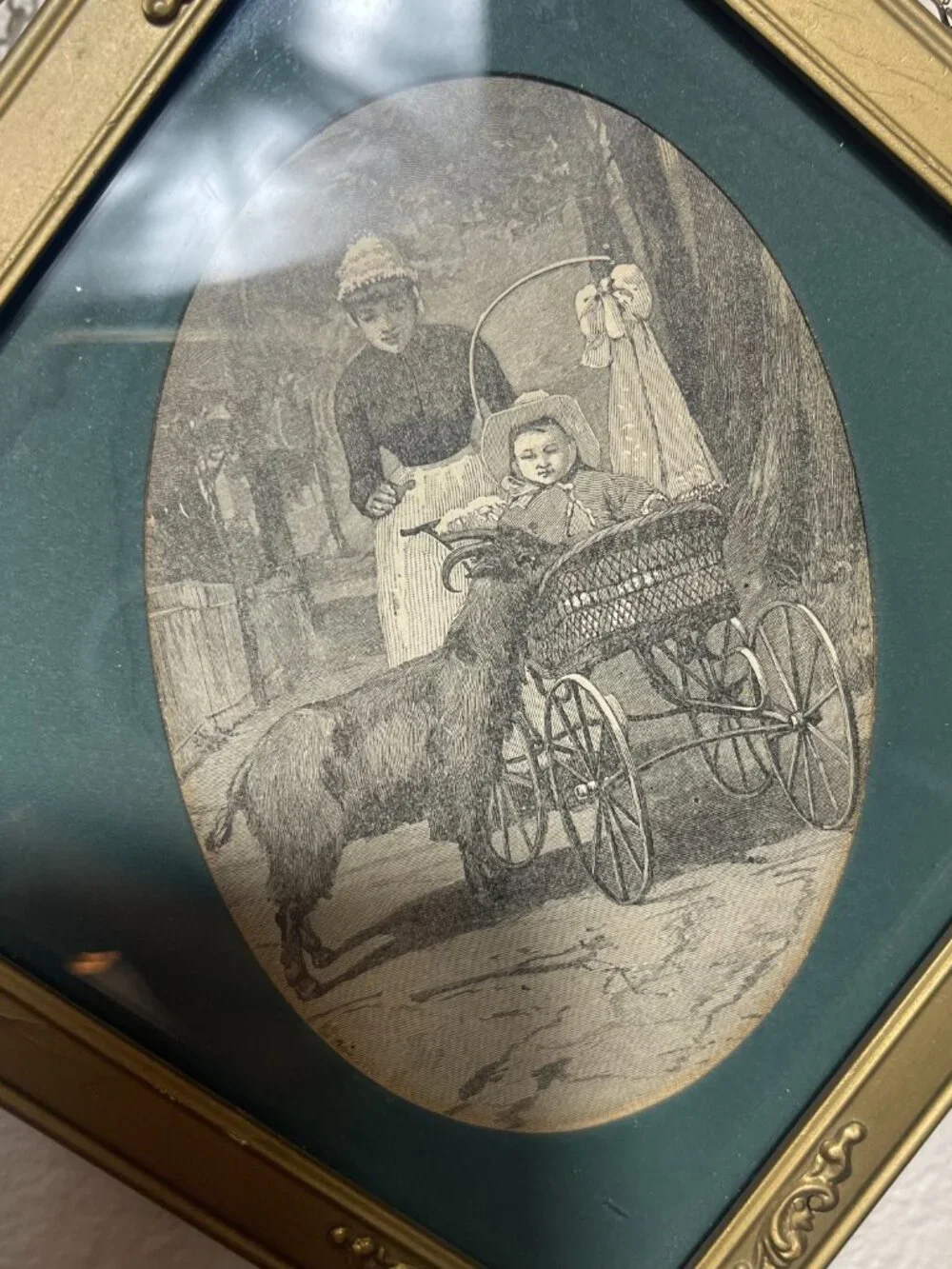 Diamond-shaped Faux Metal Gold Picture Frame Blk&WHT Print Child Goat 6.75x6.75